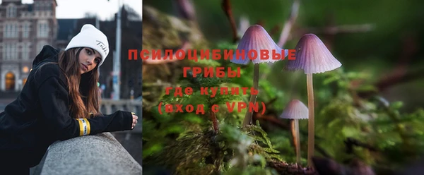 мяу мяу мука Белокуриха
