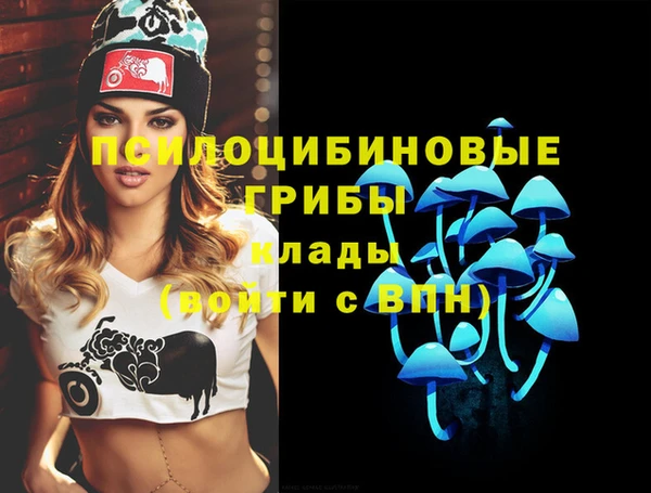 мяу мяу мука Белокуриха