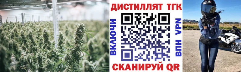 Дистиллят ТГК гашишное масло  Сольцы 