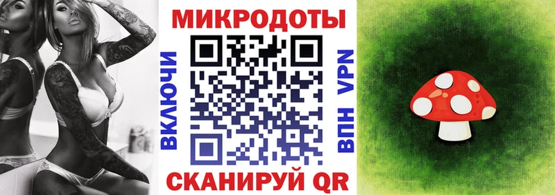 Галлюциногенные грибы Psilocybine cubensis гидра маркетплейс Сольцы